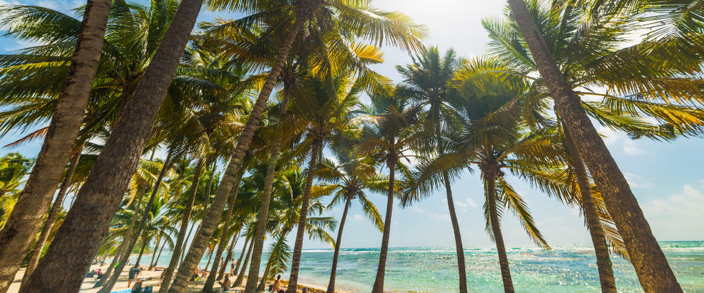 Bois jolan guadeloupe, Plage de Bois Jolan Bois jolan guadeloupe