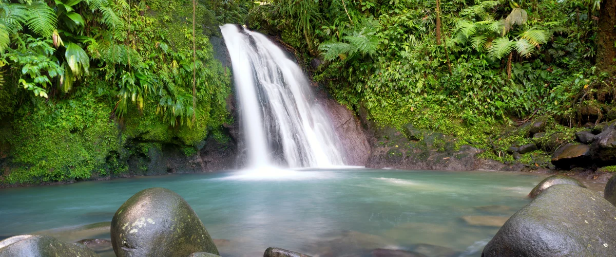 home : Chutes eau guadeloupe