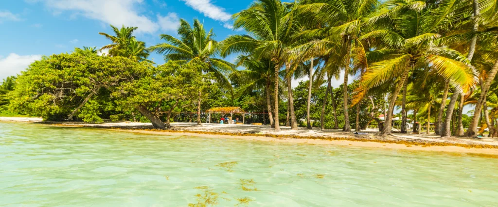 Page bois jolan guadeloupe 1, Plage de Bois Jolan Page bois jolan guadeloupe 1