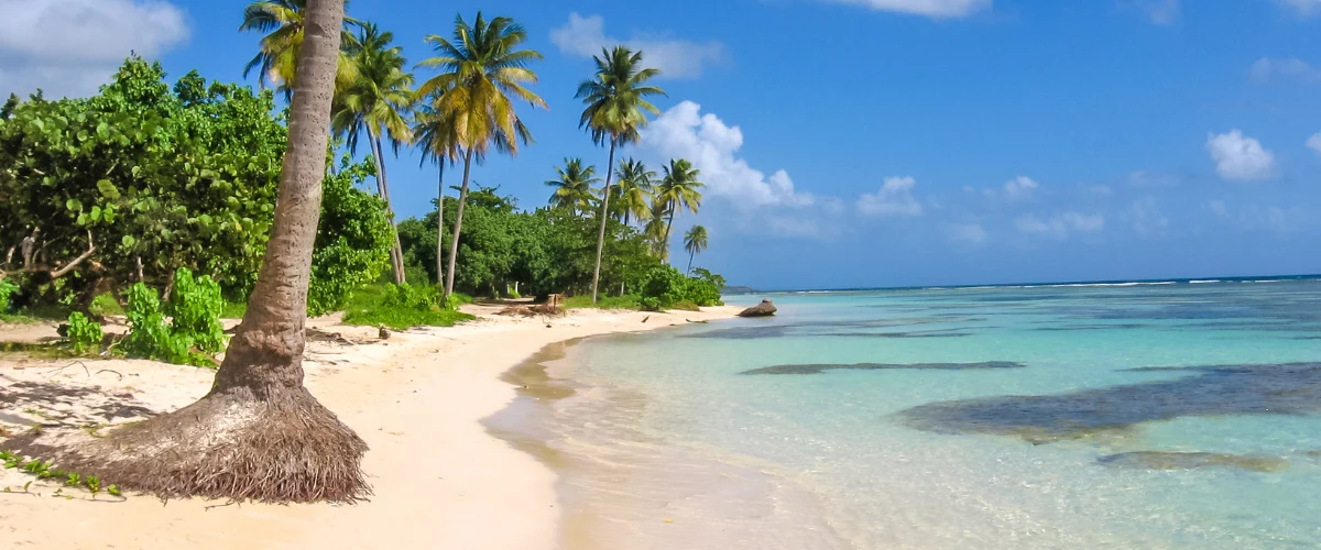 home : Plages paradisiaques guadeloupe