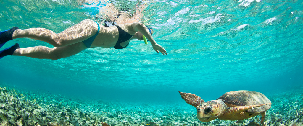 Snorkeling malendure guadeloupe, Plage de Malendure Snorkeling malendure guadeloupe