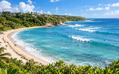 Spot de surf guadeloupe a proximite villa a la location, Activites Spot de surf: Helleux en Guadeloupe