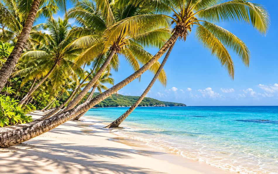 Tarifs : Tarifs basse saison location vacances guadeloupe
