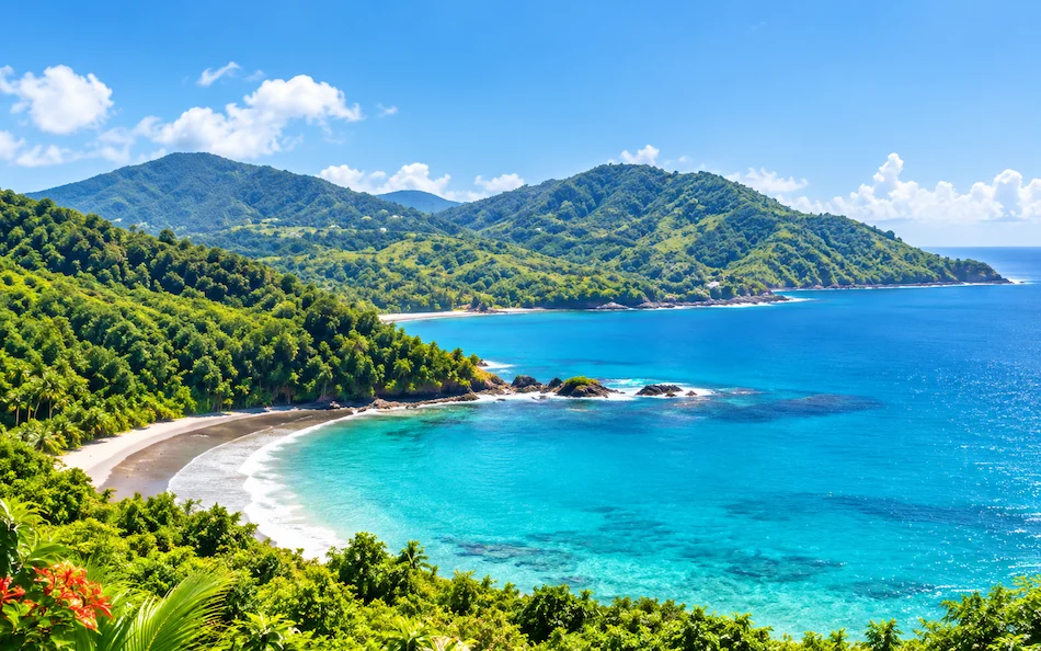 Tarifs : Tarifs reste annee guadeloupe